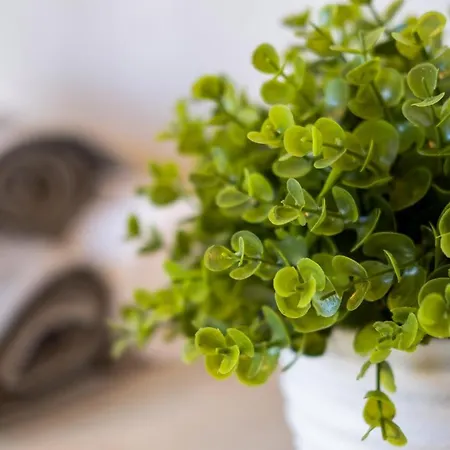 Myflat Nuvola Apartamento *