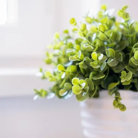 Myflat Nuvola Siófok